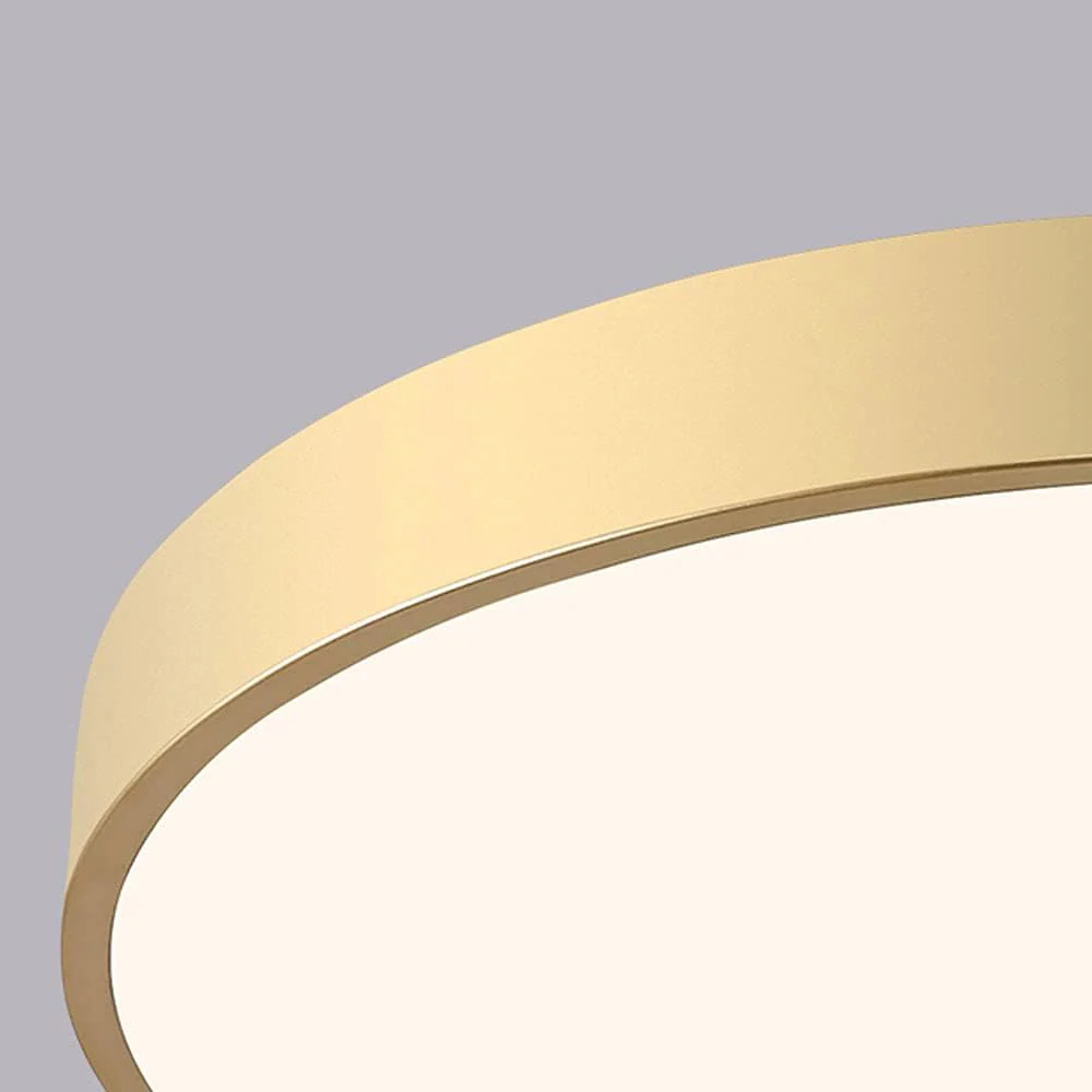 Disc Flush Mount - Image 21