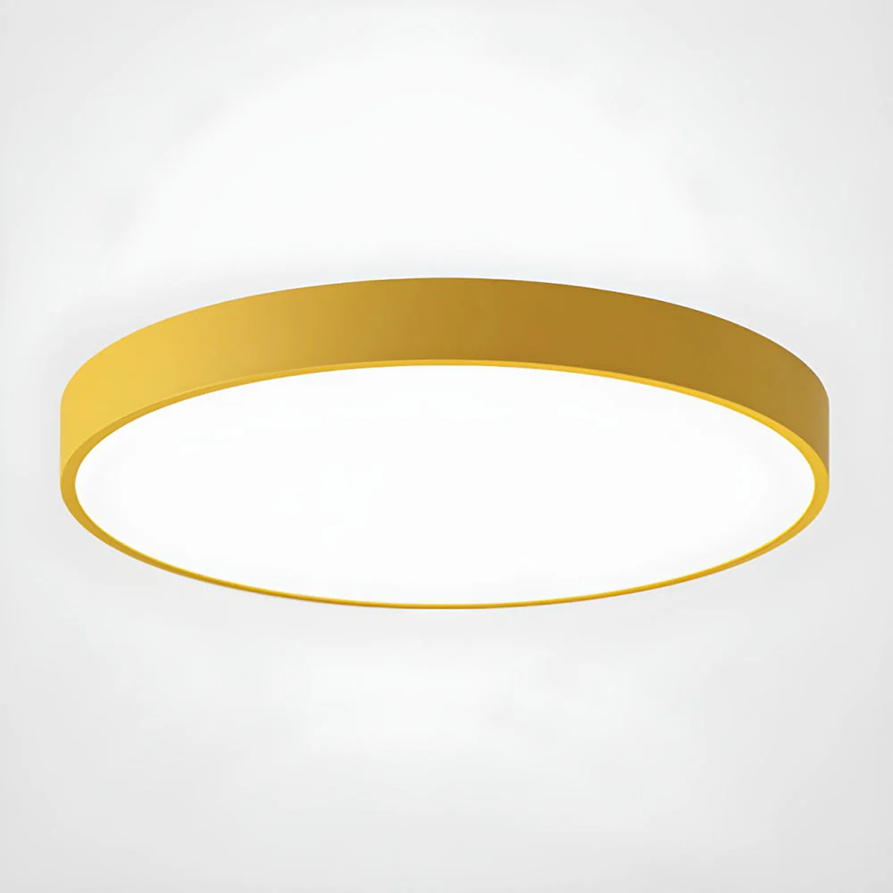 Disc Flush Mount - Image 28