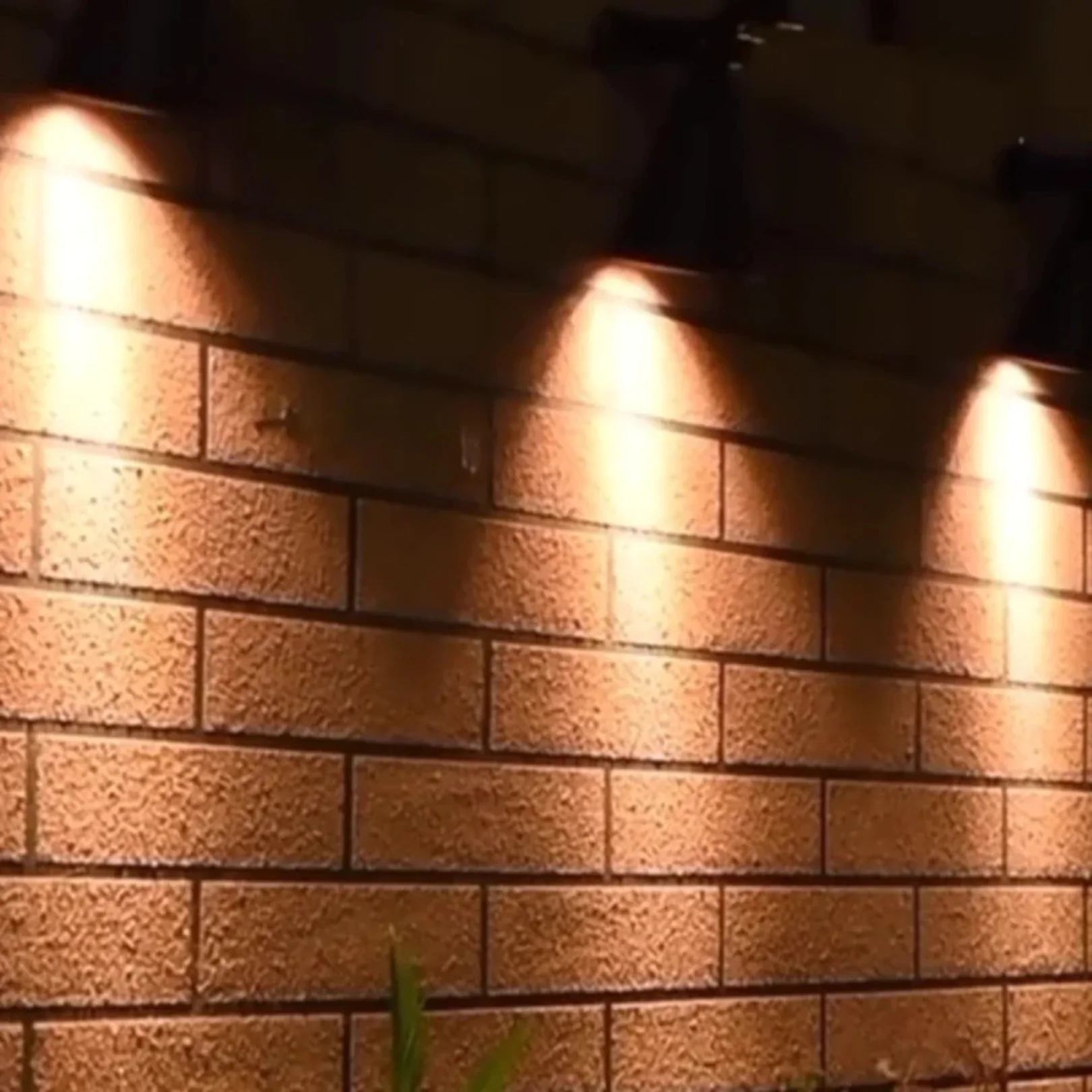 Modern Garden Spotlight - Solar Powered - Image 14