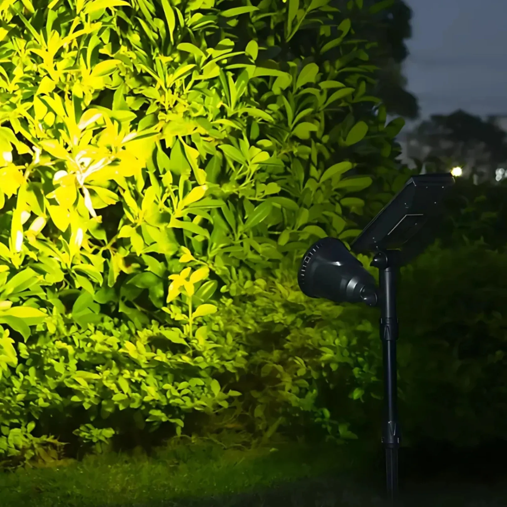 Modern Garden Spotlight - Solar Powered - Image 16