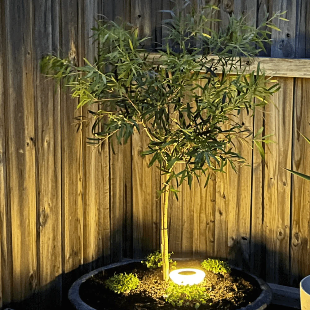 Solar Powered Outdoor Pathway Light with Head and Garden Stake - Image 9