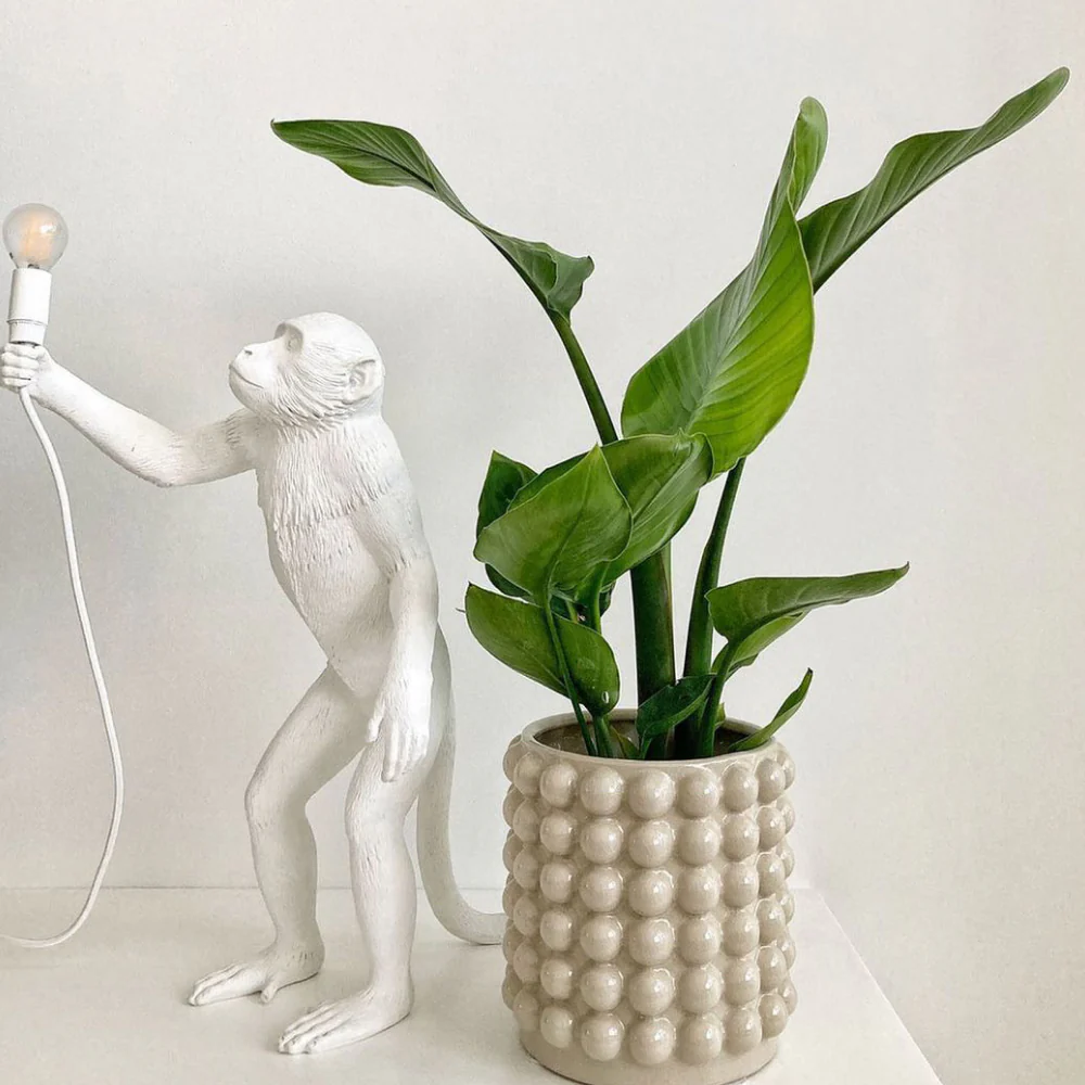 Whimsical Monkey Table Lamp - Sculptural Animal Art Desk Light - Image 40